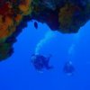 Dive With Cristina-Descubra el mundo del Buceo en Aguas Subtropicales