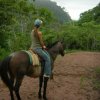 Discovery Horseback Riding Tours-Paseo a Caballo en Jaco, Costa Rica
