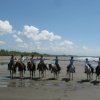 Discovery Horseback Riding Tours-Paseo a Caballo en Jaco, Costa Rica