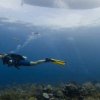 Ecomarine-Take an Open Water Diving Course