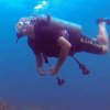 Ecomarine-Take an Open Water Diving Course