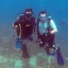 Ecomarine-Take an Open Water Diving Course