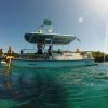 Roatan Eco Tour-Boat Tour and Snorkeling  around beautiful Roatan, Bay Islands