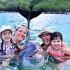 Anthony`s  Key Resort-Dolphin Swim & Snorkel