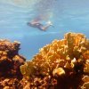 Cozumel Pearl Farm-The Only Active Pearl Farm in The Caribbean