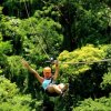 Mundo Nogalito Eco Park-Prueba el Canopy Forest y siente la adrenalina