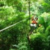 Roatan Henry`s Tour-Enjoy the adrenaline of Ziplining through the Roatán forest