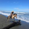 Caribe Horse Riding Club-Enjoy a Horseback Riding ride on the beaches of Puerto Viejo