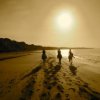 Caribe Horse Riding Club-Enjoy a Horseback Riding ride on the beaches of Puerto Viejo
