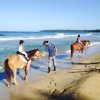Caribe Horse Riding Club-Enjoy a Horseback Riding ride on the beaches of Puerto Viejo