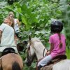 Caribe Horse Riding Club-Enjoy a Horseback Riding ride on the beaches of Puerto Viejo