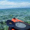 Paddle Utila-Paddleboard around Utila´s clear waters