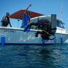 Deep Blue Diving-Great Diving Excursions in Playas del Coco