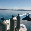 Deep Blue Diving-Great Diving Excursions in Playas del Coco