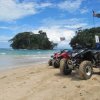 Caribe Shuttle-Explore Bocas on a Quad Adventure