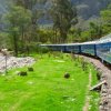 Alpaca Expeditions -A 2 Day Machupicchu Tour by Train