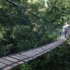 Inkaterra-Walk through the treetops on a canopy walkway in the forest