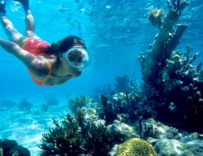 Bucea en una de las maravillosas playas en Cuba - Autentica Cuba