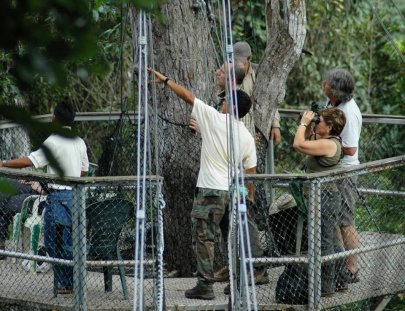 Iwokrama Canopy Walkway-Birdwatching from the Canopy Walkway in the Iwokrama forest
