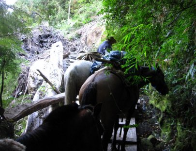 Cabalgatas Cachamó-Horseback expedition at Cochamo Valley