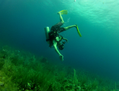 Bucear al rededor de la Hermosa Isla de San Pedro - Belize Pro Dive Center