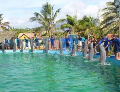 Waterland-swim with Dolphins at Waterland