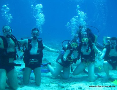 Bucea con profesionales - V.I.P Divers