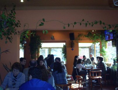 Hot Chili Peppers A Mexican Restaurant & Bar-A taste of Mexico in Viña del Mar and Santiago