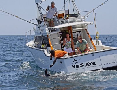 Pesca del pez Vela en  Granada - True Blue Sport Fishing