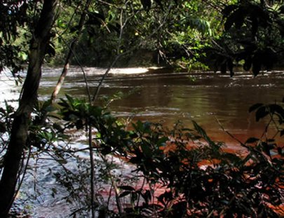 Boat excursion to the highest waterfall in the world - Bernal Tours C.A. Venezuela