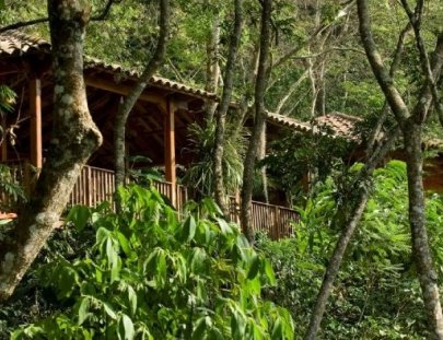Un masaje terapéutico en el corazón del bosque del café - Spa Ixchel