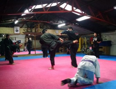 Kenpo Temuco System-Defensa personal con Kenpo Artes Marciales