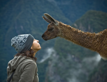 Tours In Machu Picchu-Machu Picchu Full Day Tour