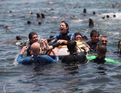 Mar Abierto Excursiones-Swimming with Sea Lions