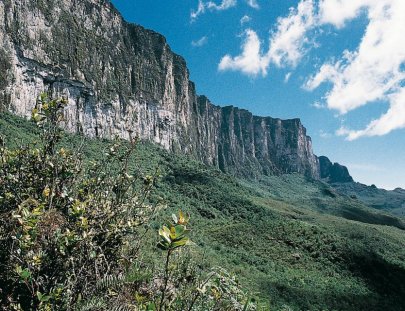 Nativa Tours Khasen-Excursión y campamento en el más alto de los tepuyes de Venezuela