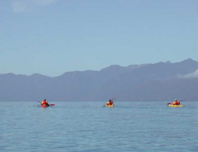 Chile Nativo-Kayaking on the river through Pumalin Park