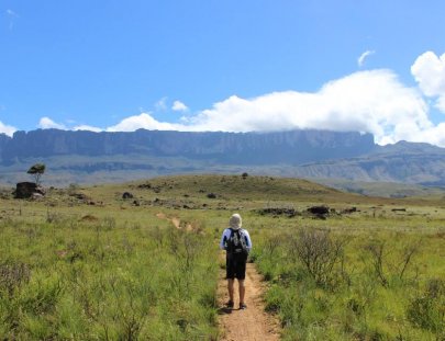 Coati Trekking- Trekking to the Plateau Chirikayen Tepui in Venezuela