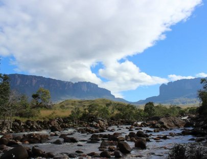 Coati Trekking- Trekking to the Plateau Chirikayen Tepui in Venezuela
