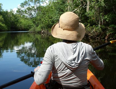 Paseo en Kayak por los manglares y  estuarios - Papagayo Adventures