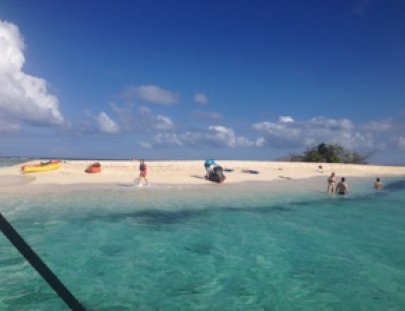 Serenity Sea Tours-Paraíso Expreso: Excursión de 3 Horas de Snorkeling