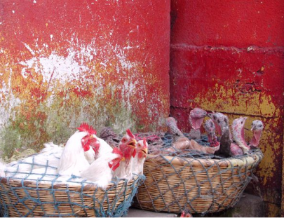 Lake Atitlan-Visita guiada al mercado de Sololá, Museo y Cooperativa de Textiles en Lago Atitlán