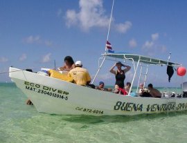 Bucea con la opción de dos o tres tanques en Cozumel  - Buena Ventura Diving