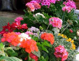 Hotel Posada La Merced-Stay at a hotel with a direct view to the Agua volcano just around the corner of a colonial church