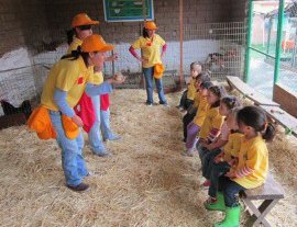 Granja De Tio Pepe- The most animal-filled and fun-learning place