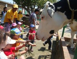 Granja De Tio Pepe- The most animal-filled and fun-learning place