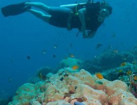 El Salvador Divers-Centro profesional de buceo en el maravilloso lago Coatepeque