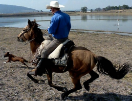 Rancho Las Cascadas-A week long Highland Exploration on horseback 