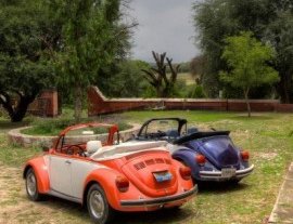 The Traveling Beetle-Disfruta conociendo México haciendo un tour en un Beetle 