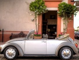 The Traveling Beetle-Disfruta conociendo México haciendo un tour en un Beetle 