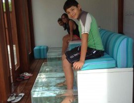 Islander Fish Spa-Nuestros peces dan lujo a tu piel con un masaje natural 